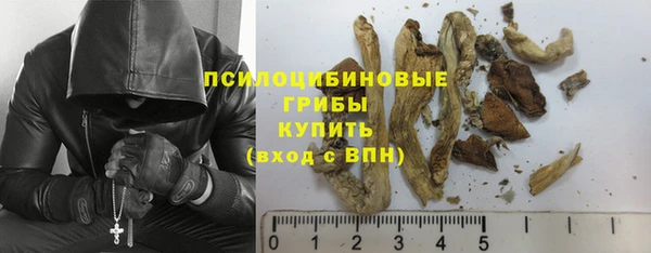 молекула духа Абдулино