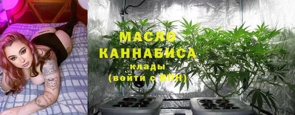 дживик Абаза