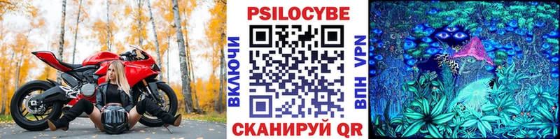 Галлюциногенные грибы Psilocybe  Гусиноозёрск 